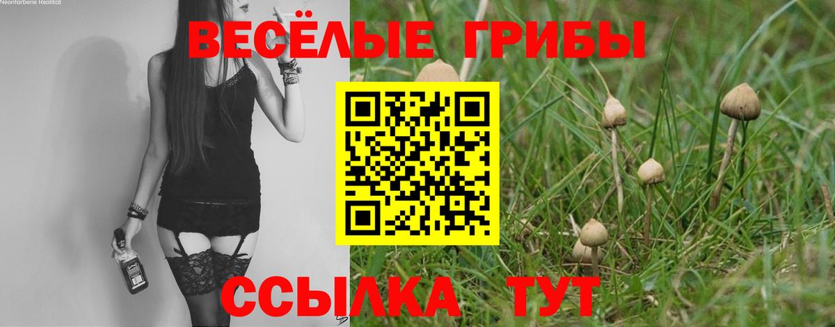 дарнет шоп  Галлюциногенные грибы мухоморы  Вход с VPN  Фролово 